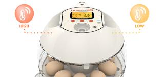 Rcom PX 10 egg incubator image 2